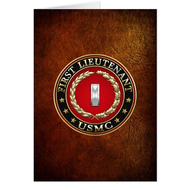 米海兵隊：少尉(USMC 1stLt) [3D] (正面)