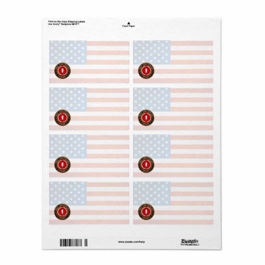 米海兵隊：少尉(USMC 1stLt) [3D] ラベル (フルシート)