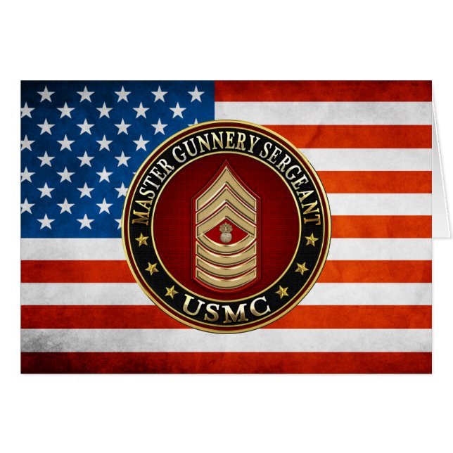 米海兵隊：銃撃軍曹長(USMC MGySgt) (正面横)