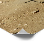 米海軍シービーがM-4およびM-16A2ライフルを発射 ポスター (角)