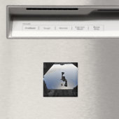 米空軍のパラレースキューマンが飛び出した マグネット (インサイチュ (食洗機))