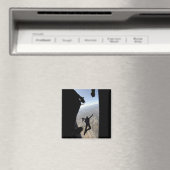 米空軍アカデミーのパラシュートチーム マグネット (インサイチュ (食洗機))