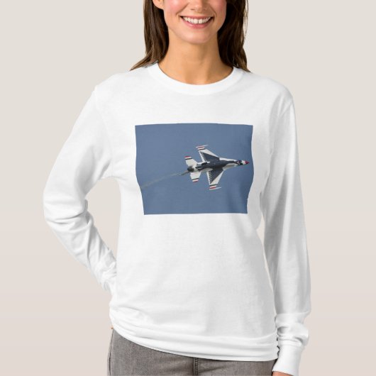 米空軍雷鳥 Tシャツ (正面)