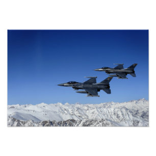 米空軍F-16戦闘《鳥》ハヤブサ フォトプリント