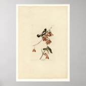 米鳥 ポスター (正面)