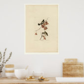 米鳥 ポスター (キッチン)