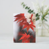 籾路 ポストカード (スタンド正面)