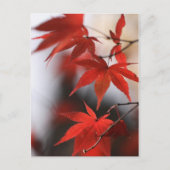 籾路 ポストカード (正面)