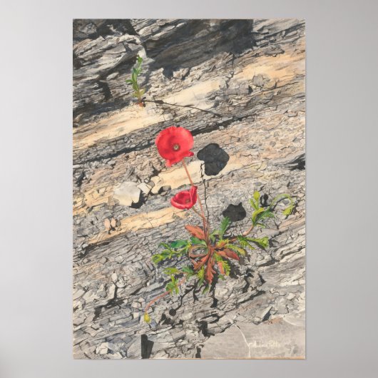 粉々に白亜紀二色 ポスター (正面)