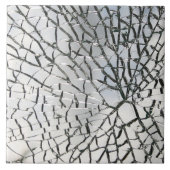 粉砕されたガラス質 タイル (正面)