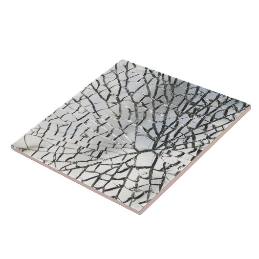 粉砕されたガラス質 タイル (側面)