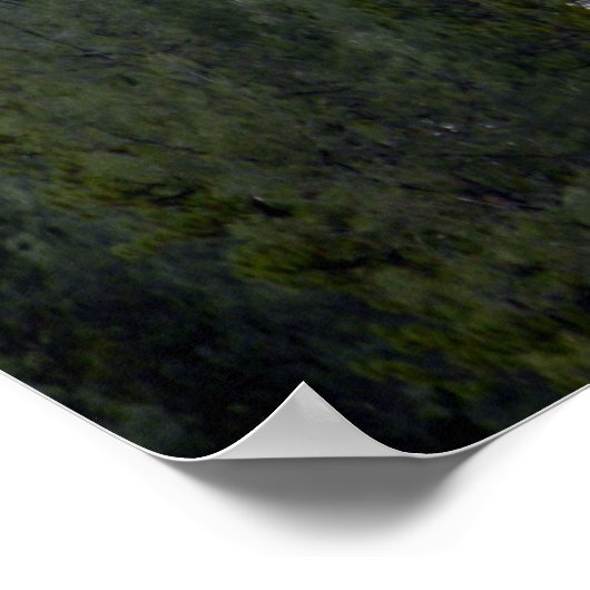 粉雪の新雪….. ポスター (角)