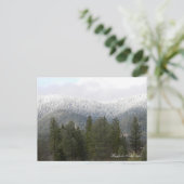 粉雪の新雪…..ポストカード ポストカード (スタンド正面)