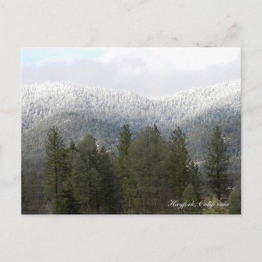 粉雪の新雪…..ポストカード ポストカード (正面)