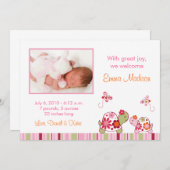 粋な熱帯カメの写真の誕生の発表 案内状 (正面/裏面)