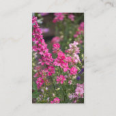 粋な詩 コーリングカード (裏面)