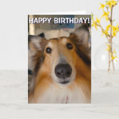 粗いコおもしろいリーポートレートグリーティングカード カード (黄色い花)