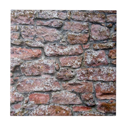 粗い石壁 タイル (正面)