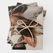 粗い脚の《鳥》ハヤブサバードオブアメリカオードボンプリント ラッピングペーパーシート (インサイチュ)