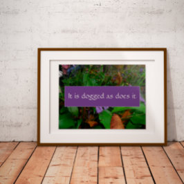 粘り強い知恵ことわざ写真ポスター ポスター