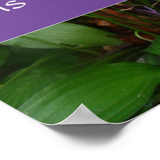 粘り強い知恵ことわざ写真ポスター ポスター (角)