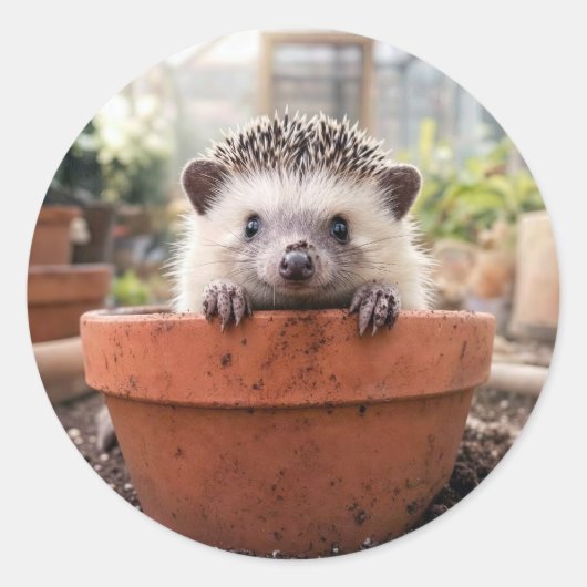 粘土の植木鉢にいるハリネズミ ラウンドシール (正面)
