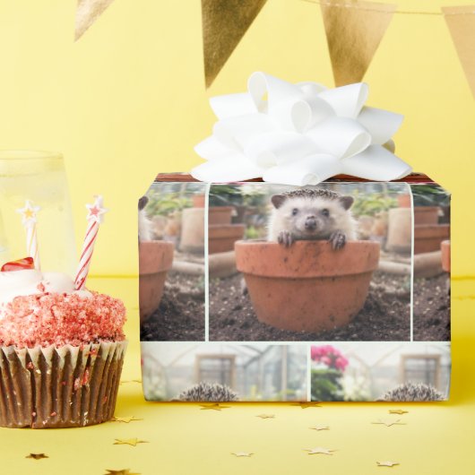 粘土の植木鉢にいるハリネズミ ラッピングペーパー (誕生日パーティー)