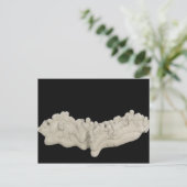 粘土コンクリート ポストカード (スタンド正面)