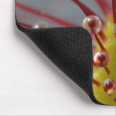 粘着性があるSundewの触手のmousepad マウスパッド (コーナー)