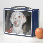 粘着性のプードル メタルランチボックス (インサイチュ)