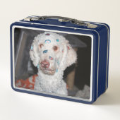 粘着性のプードル メタルランチボックス (裏面)