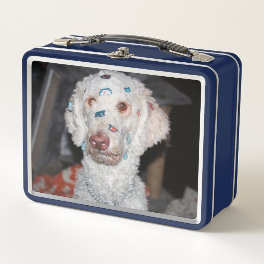 粘着性のプードル メタルランチボックス (正面)