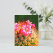 粘着性美しいサボテン花 ポストカード (スタンド正面)