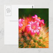 粘着性美しいサボテン花 ポストカード (正面/裏面)