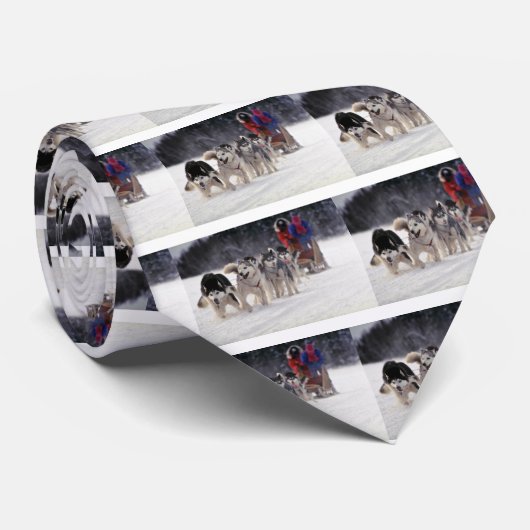 粥 ネクタイ (ロール)