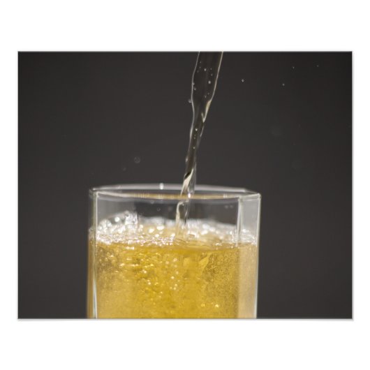 精を出ファンシーせ フォトプリント            (正面)