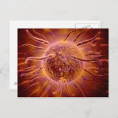 精子が卵子に向かって泳ぐ顕微鏡的視野 2 ポストカード (正面/裏面)