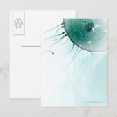 精子が卵子を肥料にする。 ポストカード (正面/裏面)