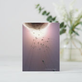 精子で受精する卵 ポストカード (スタンド正面)