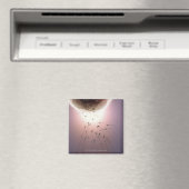 精子で受精する卵 マグネット (インサイチュ (食洗機))