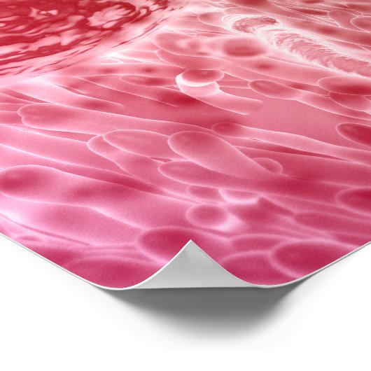 精子の旅行とセロリア ポスター (角)