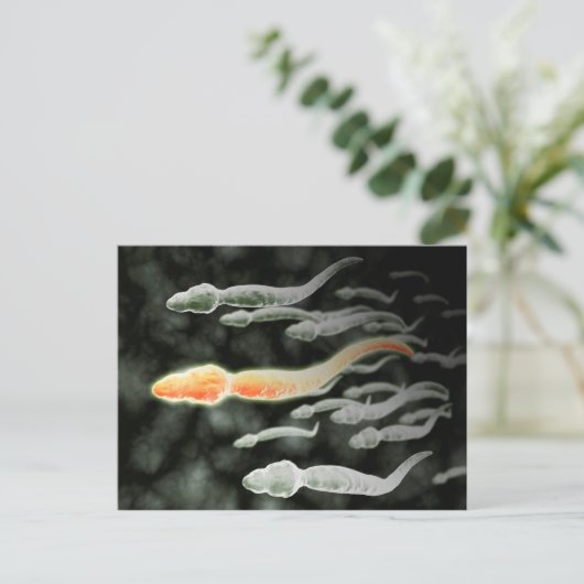 精子の移動を顕微鏡で観察 ポストカード (スタンド正面)