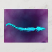 精子の骨構造を示す顕微鏡的見解 ポストカード (正面)