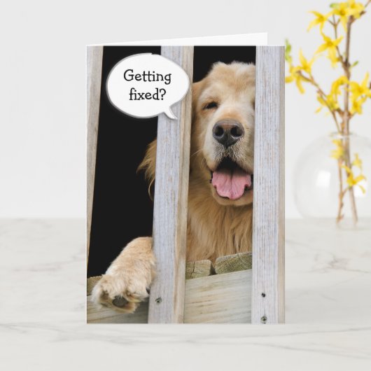 精子採取ユーモア カード (黄色い花)