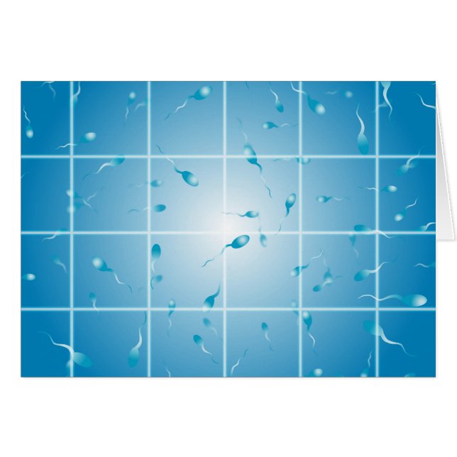 精子数 (正面横)