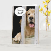 精子断絶ユーモア カード (黄色い花)