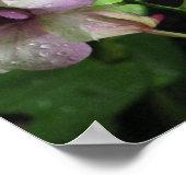 精巣ポスター ポスター (角)