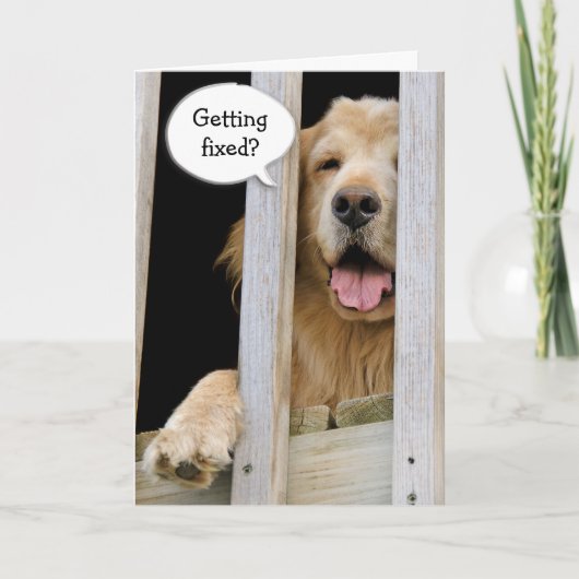 精巣切除のユーモア カード (正面)