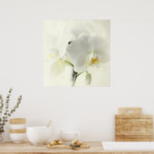 精巣園 ポスター (キッチン)