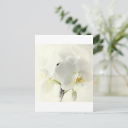 精巣園 ポストカード (スタンド正面)